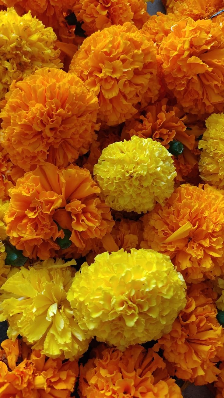 Garland Flower