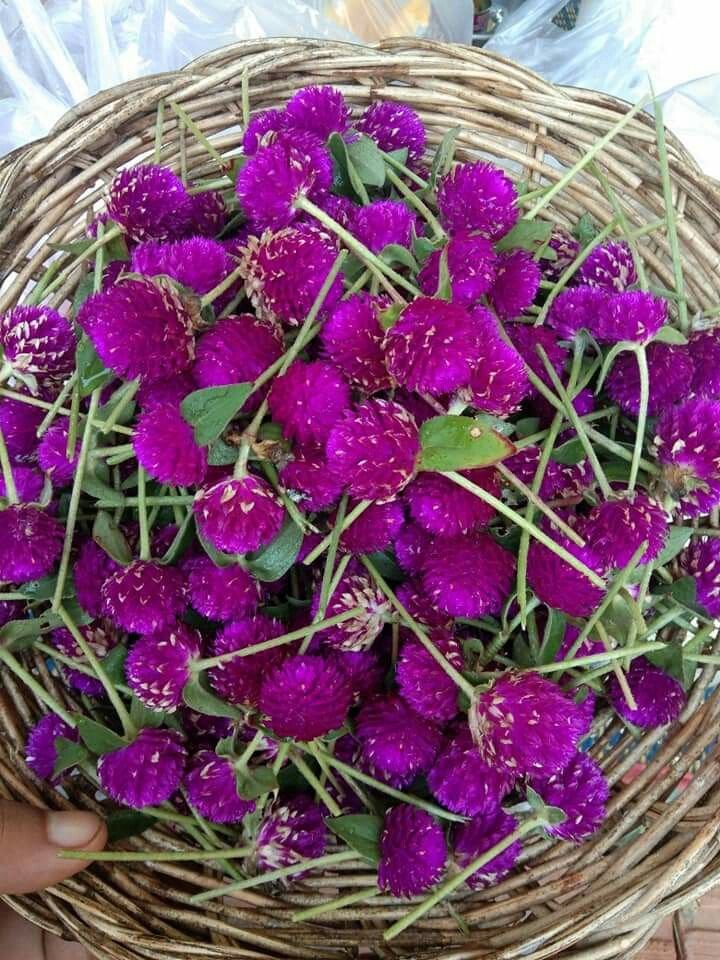 Vadamalli